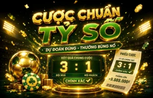 bbnlconsulting thể thao
